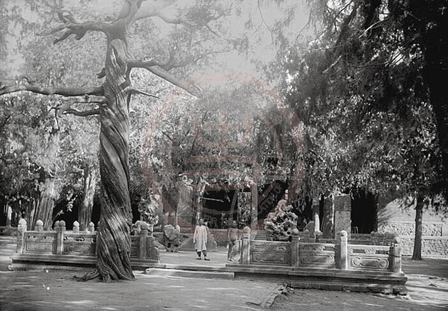 1907年6月17日-25日，泰安府，岱庙