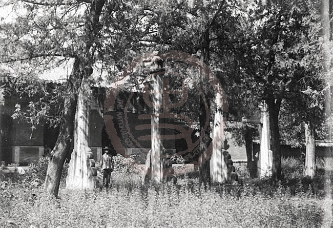 1907年6月26日-29日，曲阜县，孔庙至圣坊