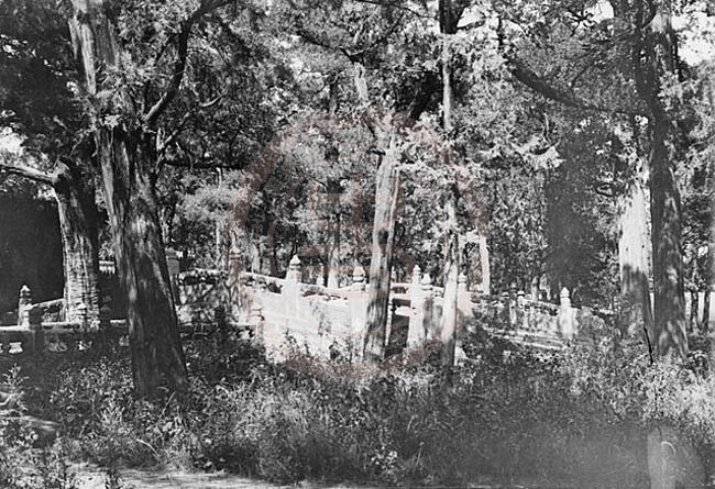 1907年6月26日-29日，曲阜县，孔庙璧水桥