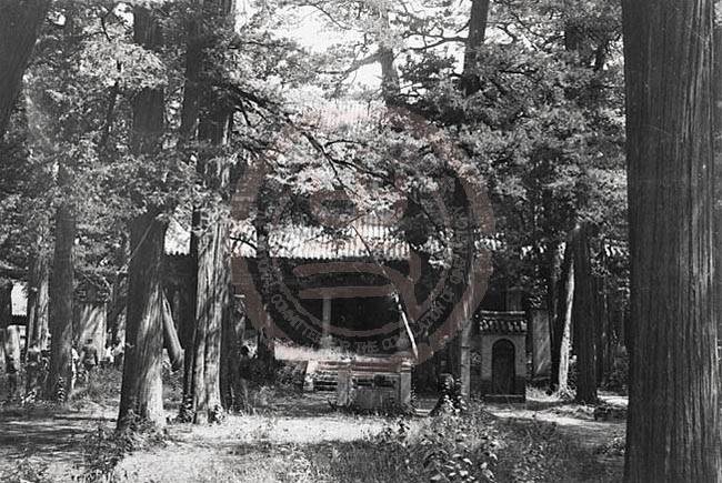 1907年7月1日，邹县，孟庙