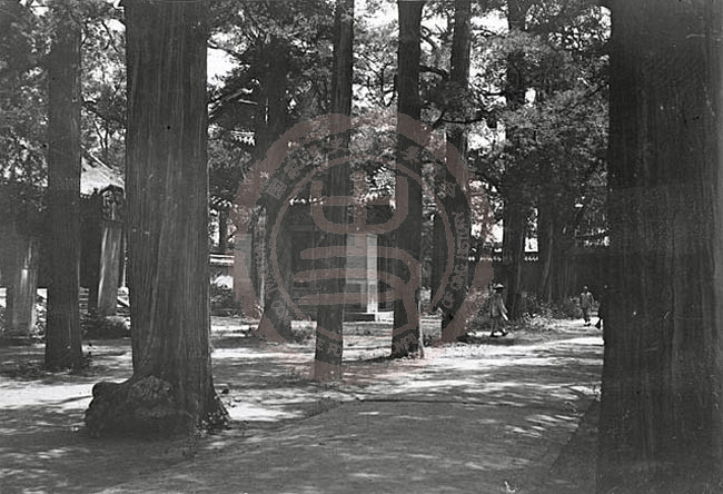 1907年7月1日，邹县，孟庙