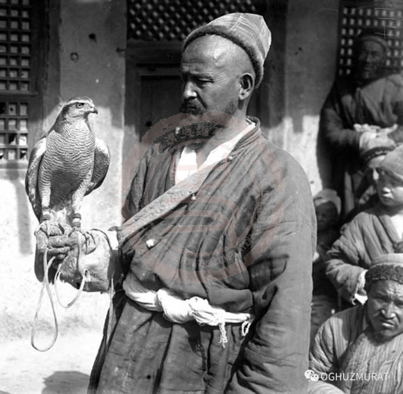 库车巴扎上的驯鹰人
