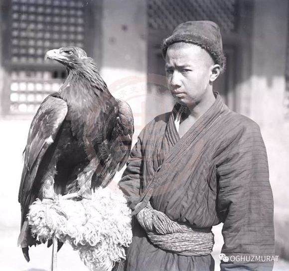 库车巴扎上的驯鹰人