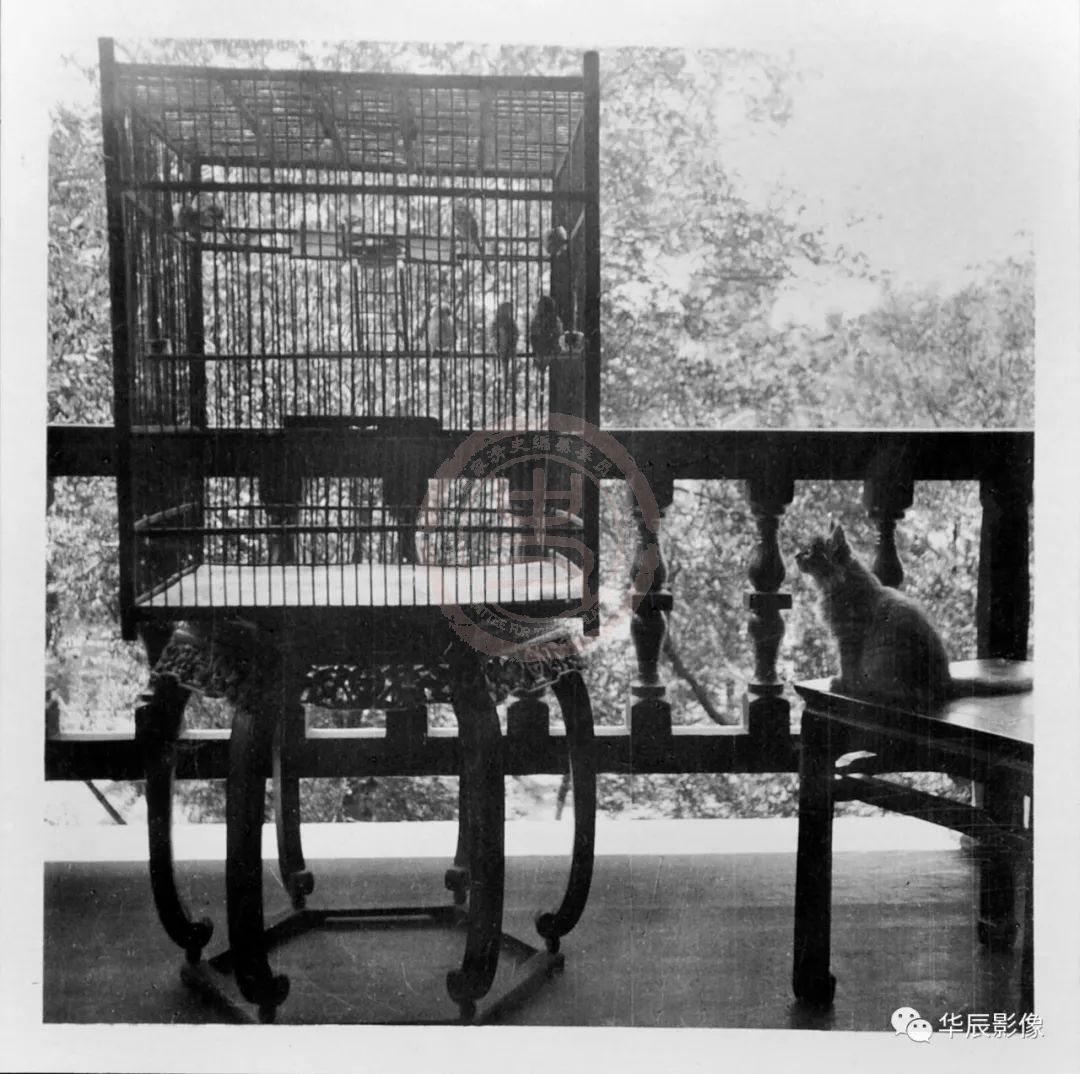 法国作家玛丽•法郎士•穆斯利（Marie France Mousli）曾经写过关于埃莱娜世界各地旅行的传记，在书中他这么评价埃莱娜的照片：“当看到埃莱娜的照片时，我像是穿越到了圣琼•佩斯笔中的诗意宇宙，这些风景、农民、寺庙、建筑、街景我们领略到了中国文化给我们营造的奇妙景象。”