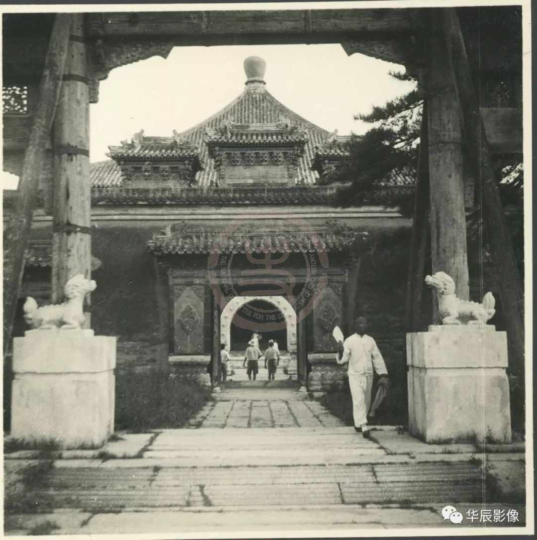 虽然埃莱娜不是一个职业摄影师，但她确有一名优秀摄影师的天赋与灵气，她的摄影技术娴熟，早在1918年时她就已经用镜头来记录巴西人民的生活了，她收到当时法国现代艺术的影响很大，她并不拘泥于古典绘画带来的程式美感，而是非常注重画面内的元素的协调性与节奏感，她拍摄的紫禁城不像其他摄影师喜欢大全景或者大角度仰拍，体现出建筑的威严，而埃莱娜选在站在台阶上平视建筑，前景的一层一层的楼梯与后景的建筑组成一幅十分和谐的景象，既有小处的细节又有大景的气势。她的摄影灵感来自于她生活的细节，她作为女性独特的视角与细腻的情感，在她的作品中体现的淋漓尽致。