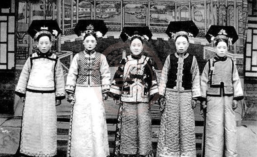 达拉翅各有不同